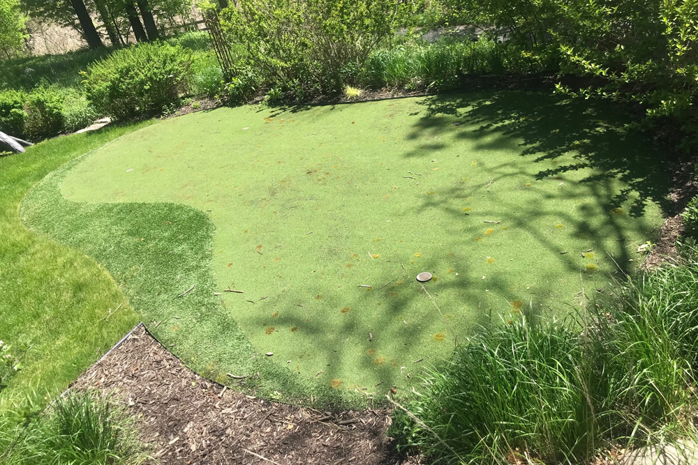 Resurfaced Putting Greens - Michelangelo Putting Greens, Minneapolis